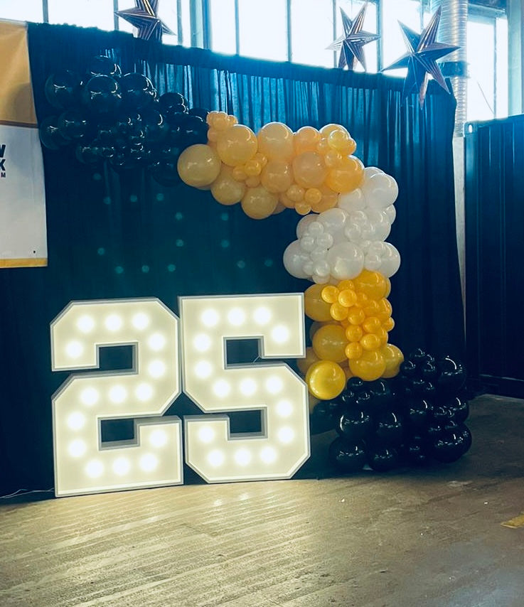 LED NUMBERS