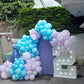 Themed Backdrops and Ballons