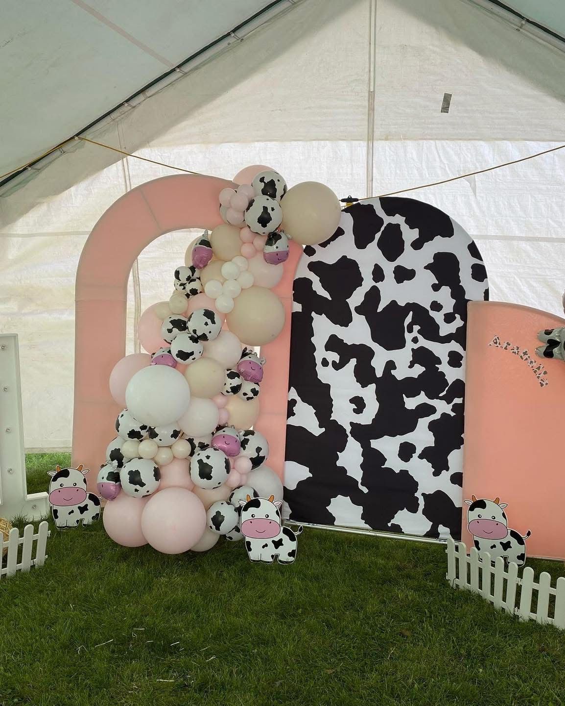 Themed Backdrops and Balloons