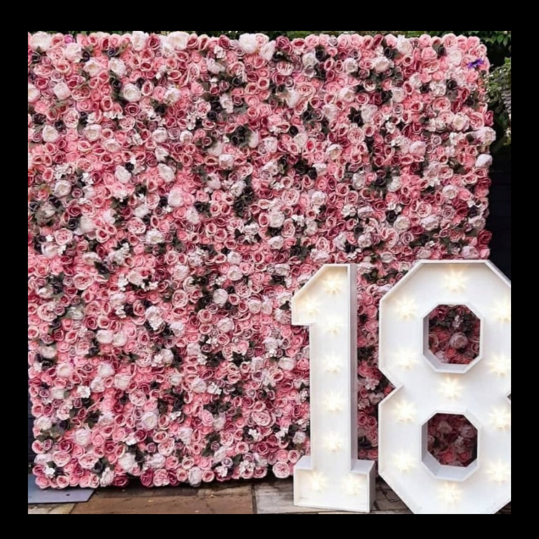 Themed Backdrops