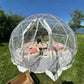 Luxury BounceBox Cork Garden Party Igloo