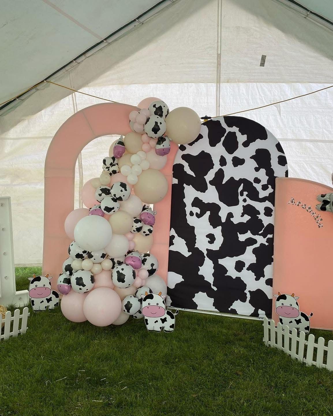 Themed Backdrops and Ballons