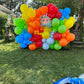 Themed Backdrops and Ballons